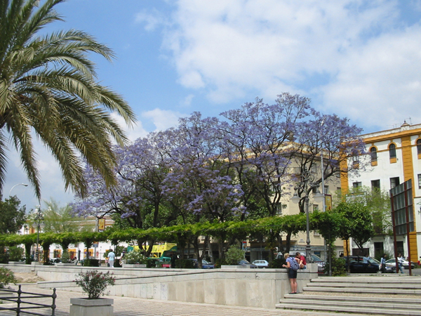 Path by the Gaudalquivir in Sevilla