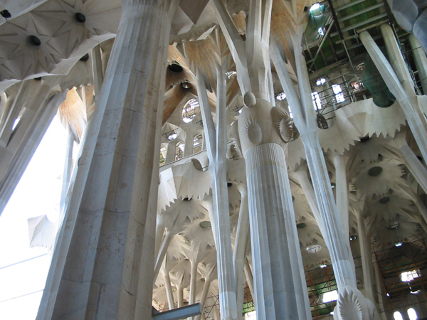 columns in the interior of the sagrada familia